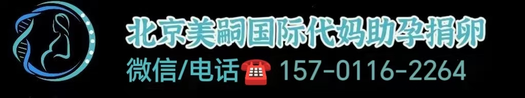 同性恋 俄罗斯 助孕